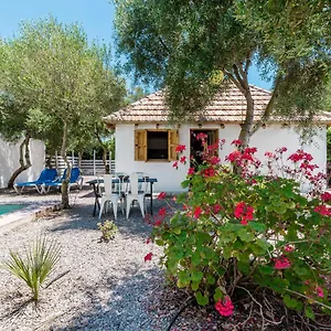 Casa El Castaño El Palmar (Andalucia)